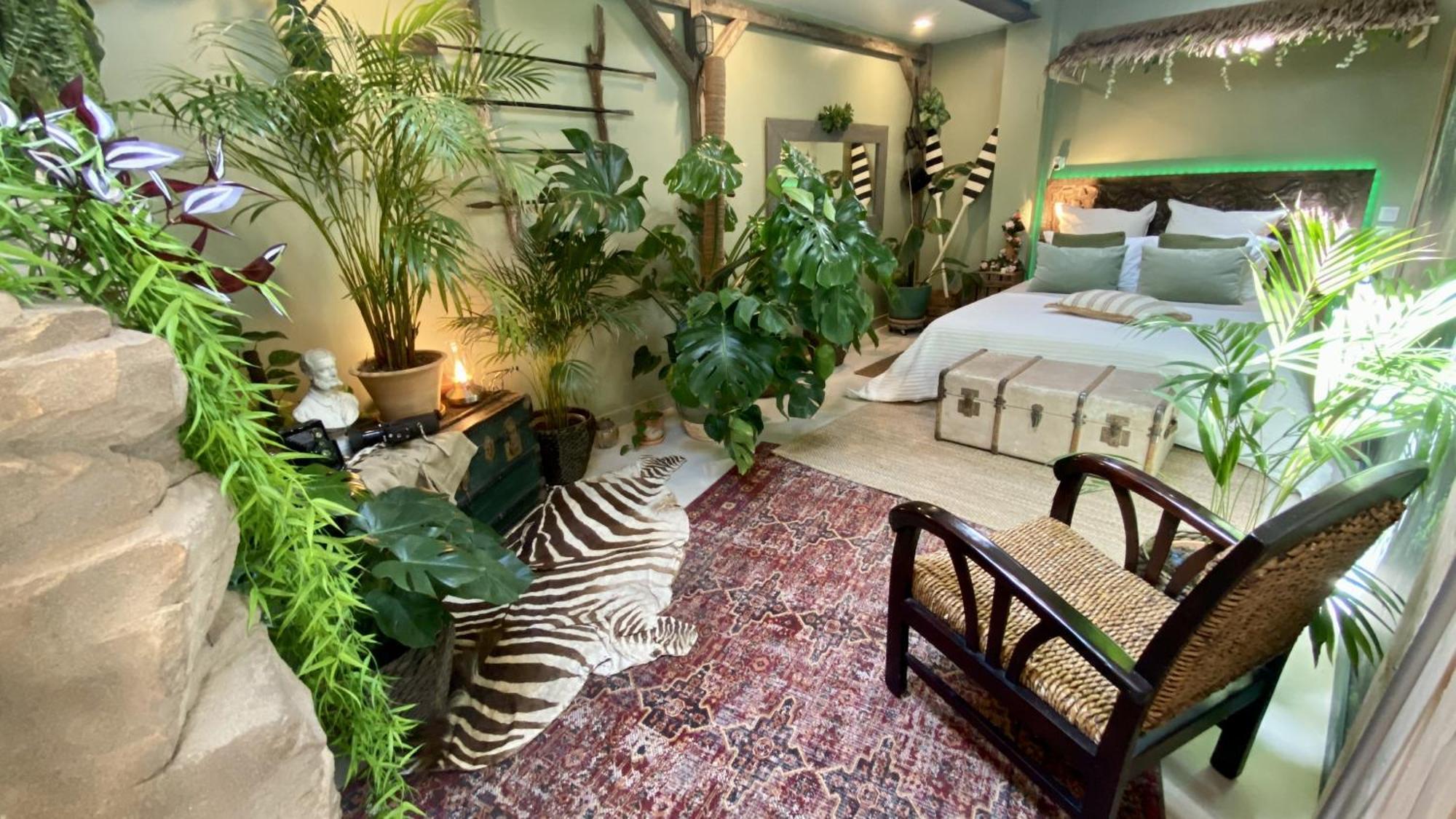 Maison 1 Chambre